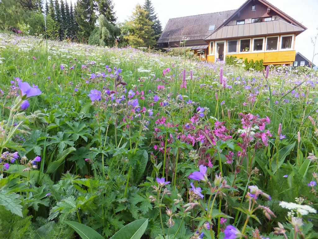 Landhaus Fischer ซังคท์อันเดรอัสแบร์ก ภายนอก รูปภาพ