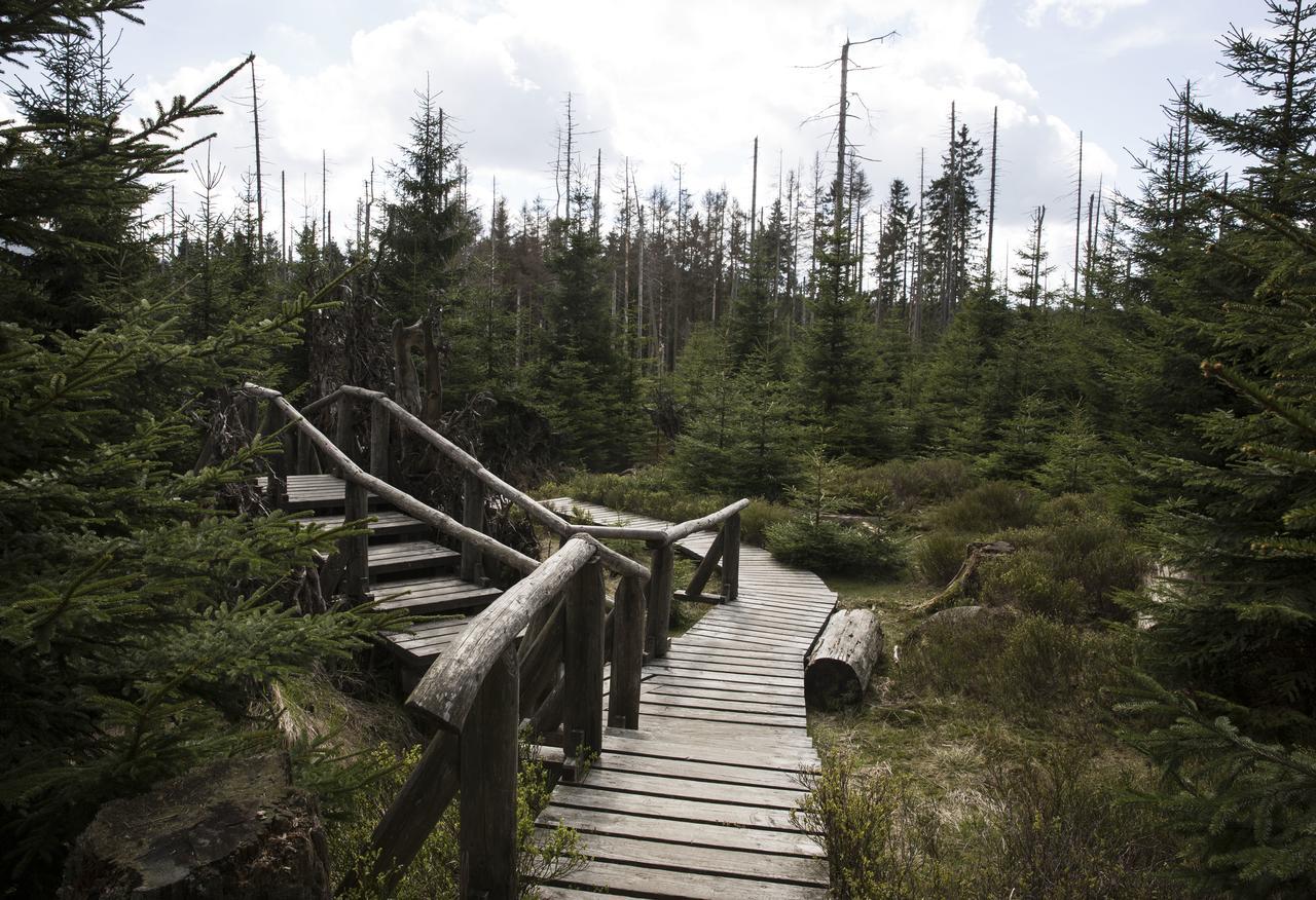 Landhaus Fischer ซังคท์อันเดรอัสแบร์ก ภายนอก รูปภาพ